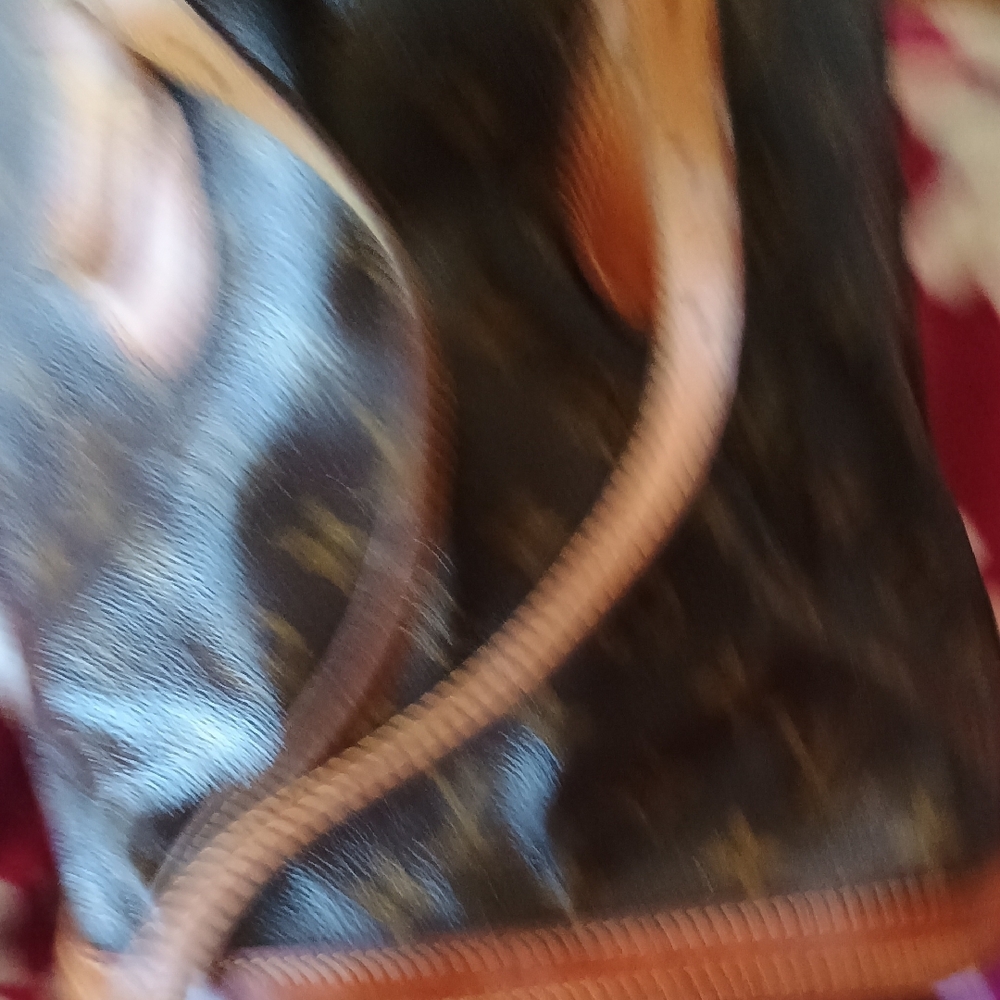 Genuine Louis Vuitton Brown Monogram Tote Bag - Picture 7 of 11